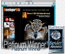 Platinum Award Winner DeveloperWiz.com