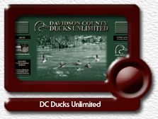 DC Ducks Unlimited