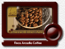 Finca Arcadia Coffee