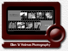 Ellen W Holmes Photography